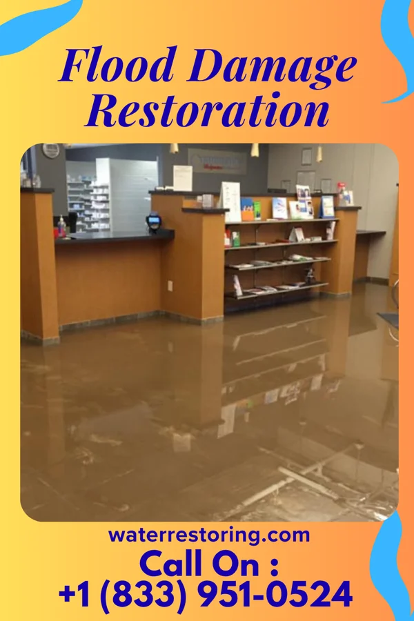 Flood Damage Restoration in West Glendive, MT