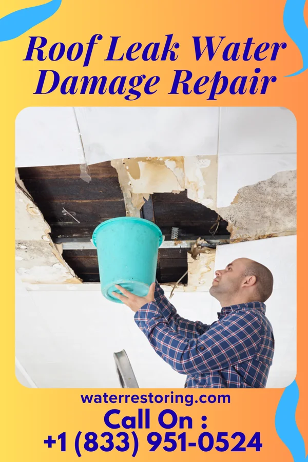 Roof Leak Water Damage Repair in West Glendive, MT